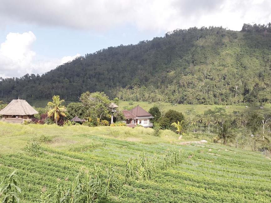 Embang Homestay Sidemen  Exterior foto